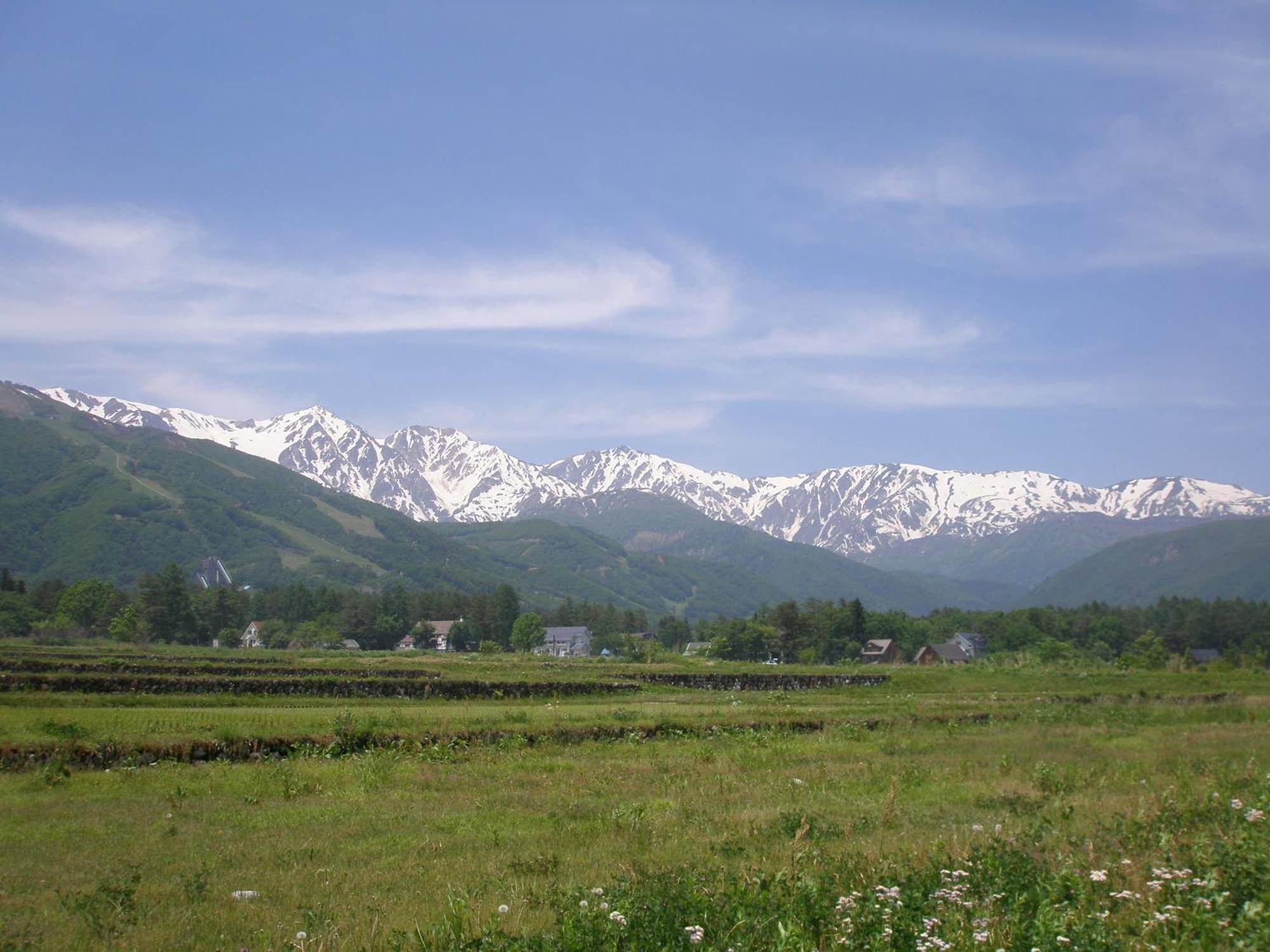 Bed and Breakfast Alpine Wind Хакуба Екстер'єр фото