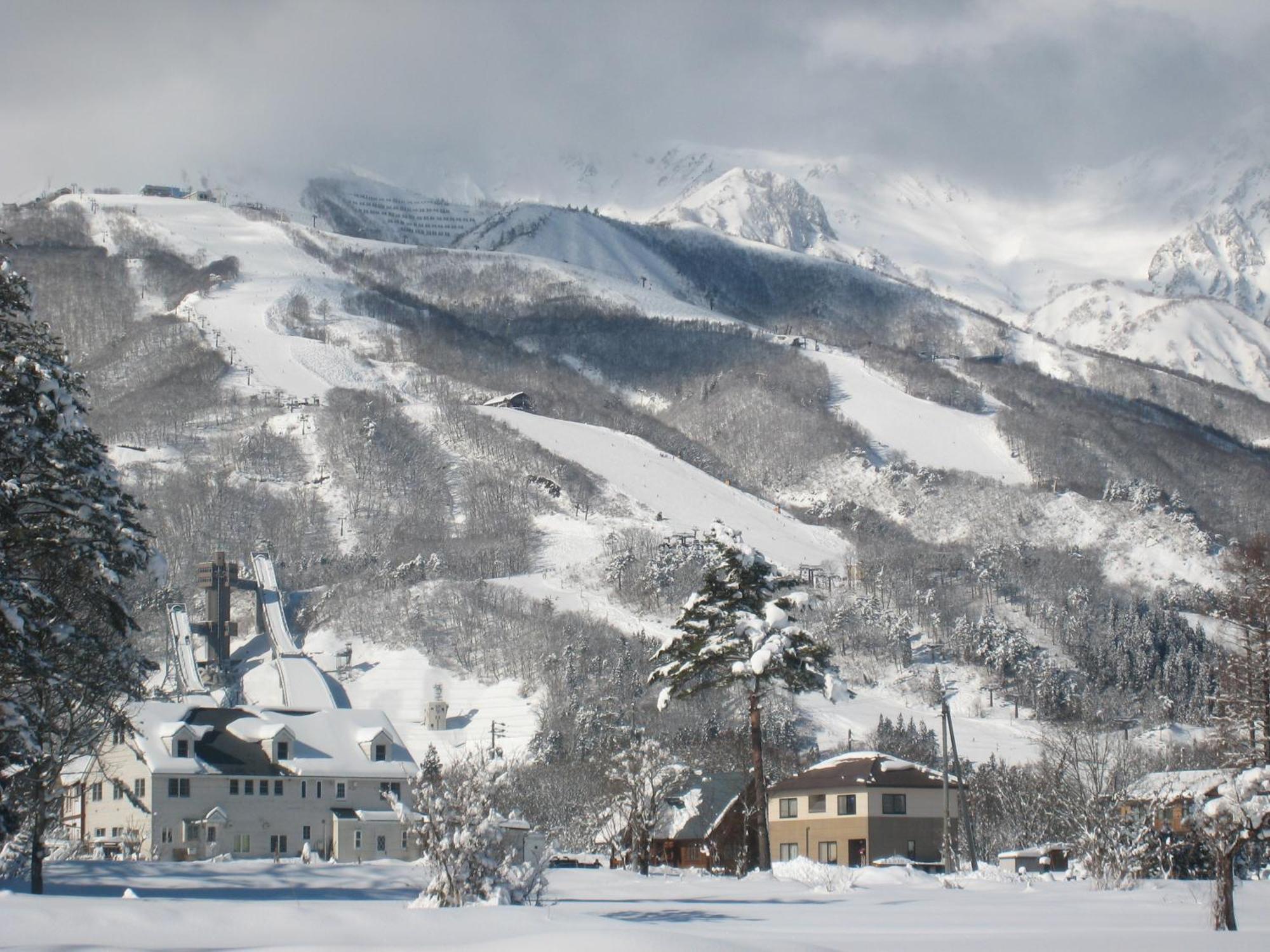 Bed and Breakfast Alpine Wind Хакуба Екстер'єр фото