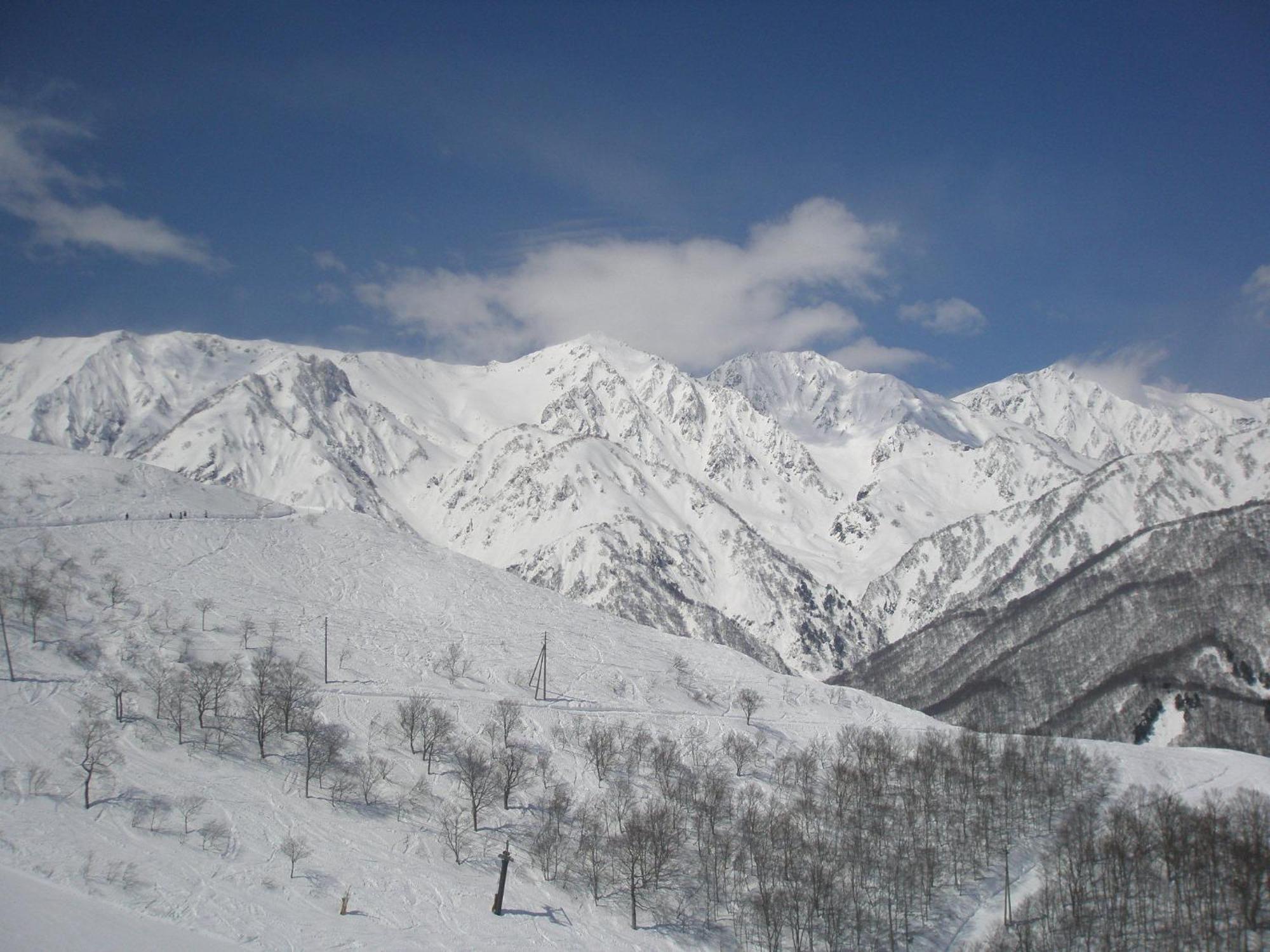 Bed and Breakfast Alpine Wind Хакуба Екстер'єр фото
